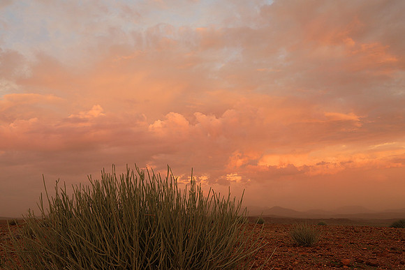 Sunset over Palmwag