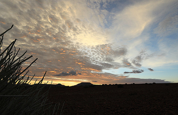 Sunrise in the desert of Palmwag