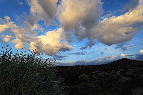Damaraland