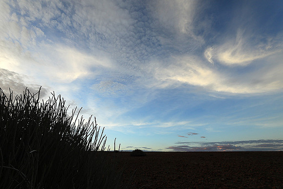 Sunrise in the desert of Palmwag