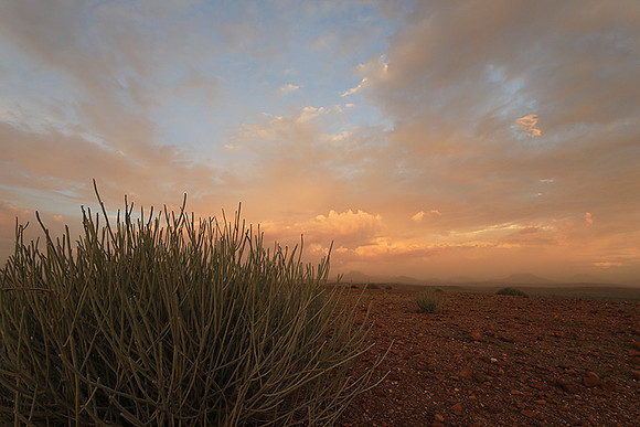 Sunset over Palmwag
