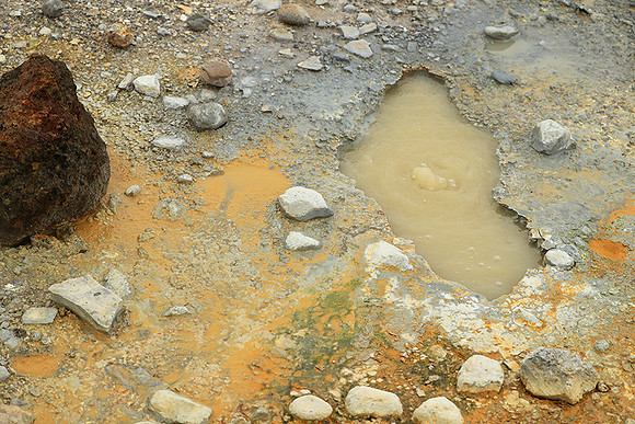 Geothermal field in the Highlands