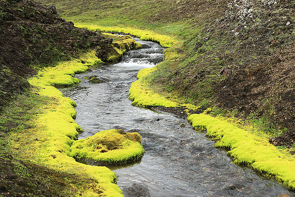 In the Highlands - Near Raudafoss