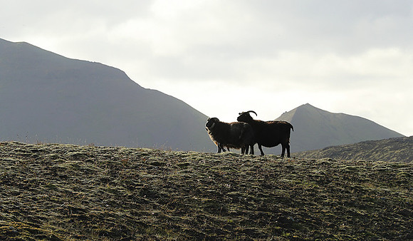 in the Highlands