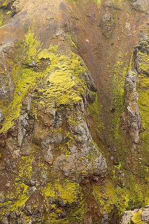 Geothermal field in the Highlands