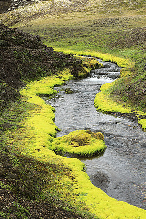 In the Highlands - Near Raudafoss
