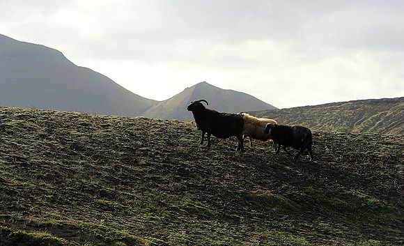 in the Highlands