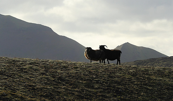 in the Highlands