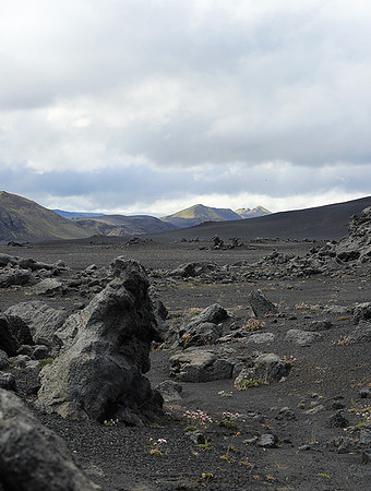 Lava field in the Highlands