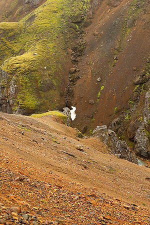Geothermal field in the Highlands