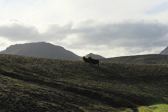 in the Highlands