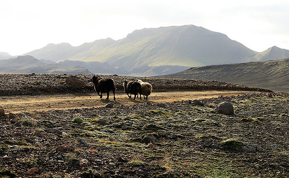 in the Highlands