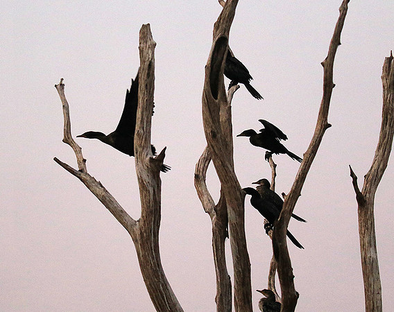 Lake Kariba - Matusadona NP