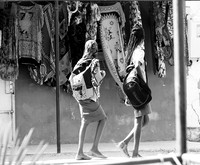 Senegal