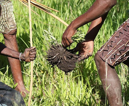 Hadzabe tribe