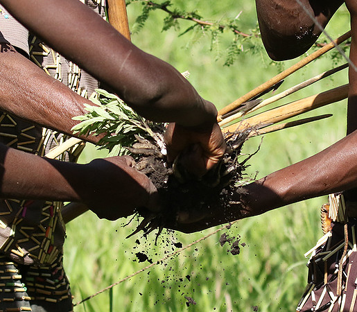 Hadzabe tribe