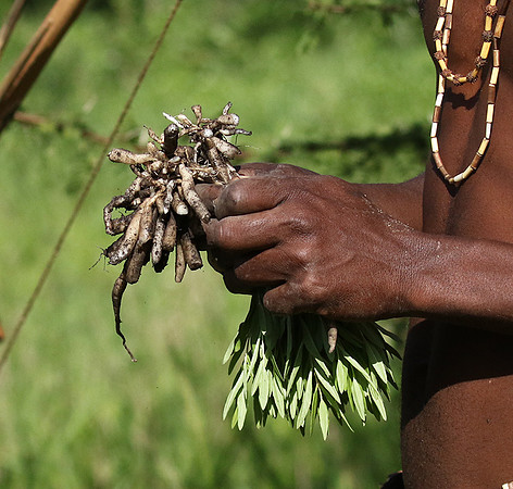 Hadzabe tribe