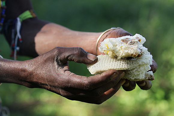 Hadzabe tribe