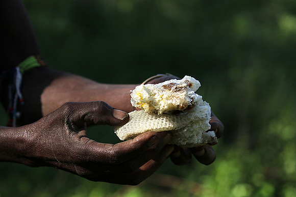 Hadzabe tribe