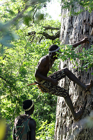 Hadzabe tribe