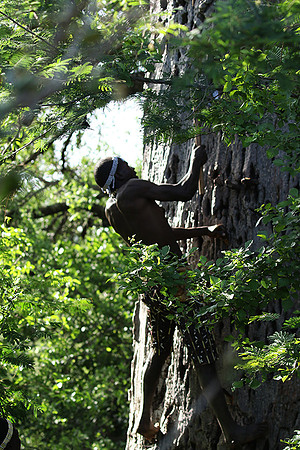 Hadzabe tribe