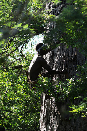 Hadzabe tribe