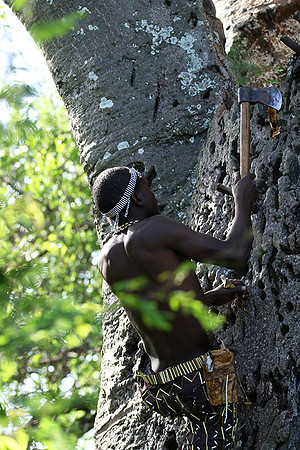 Hadzabe tribe