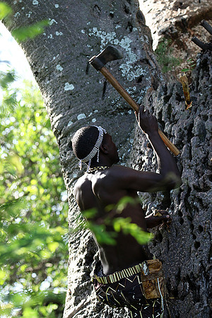 Hadzabe tribe
