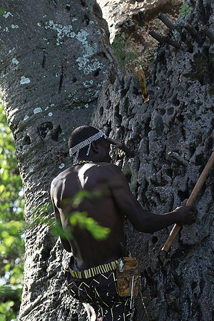 Hadzabe tribe
