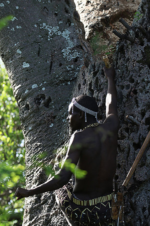 Hadzabe tribe