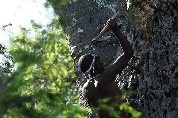Hadzabe tribe