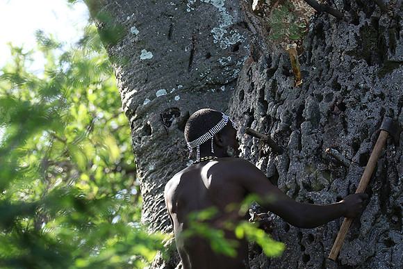 Hadzabe tribe