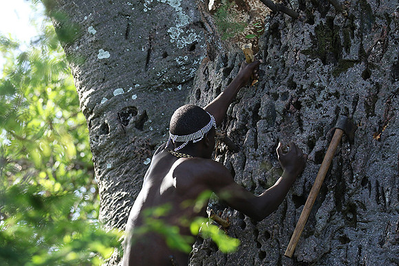 Hadzabe tribe