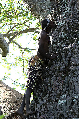 Hadzabe tribe