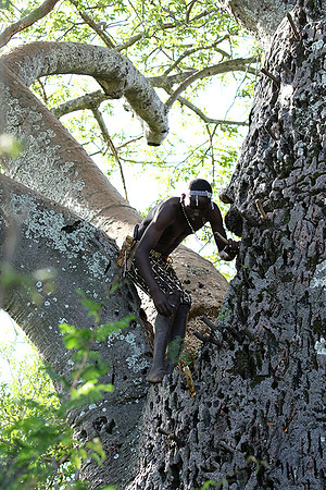 Hadzabe tribe