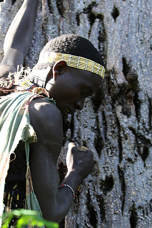 Hadzabe tribe