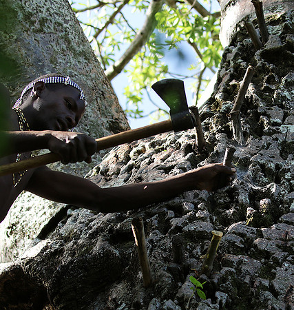 Hadzabe tribe