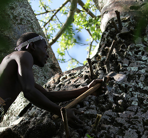 Hadzabe tribe