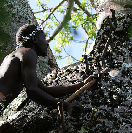 Hadzabe tribe