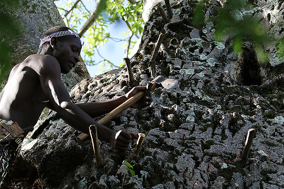 Hadzabe tribe