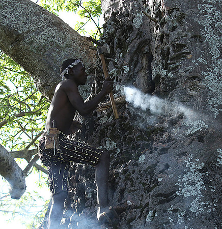 Hadzabe tribe