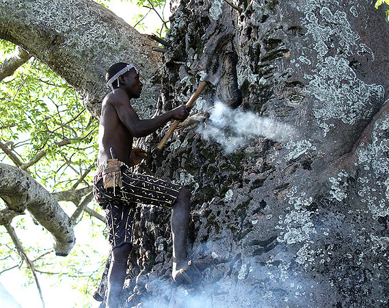 Hadzabe tribe