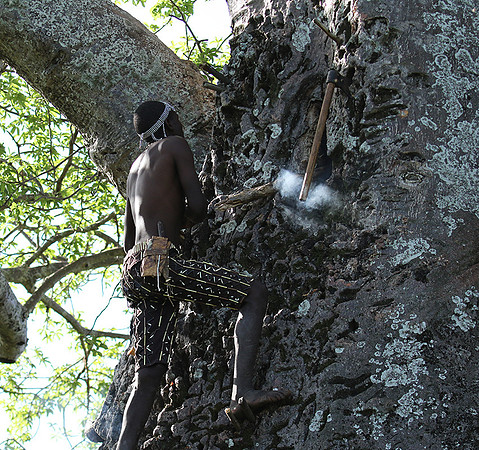 Hadzabe tribe