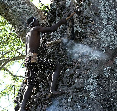 Hadzabe tribe