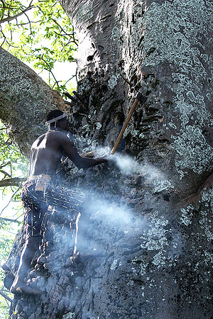Hadzabe tribe