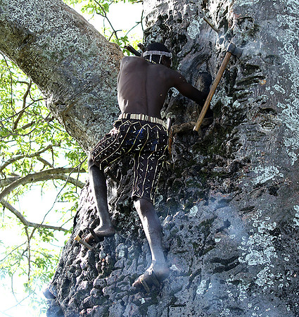 Hadzabe tribe