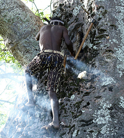 Hadzabe tribe