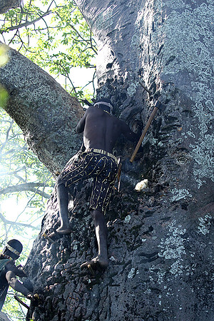 Hadzabe tribe