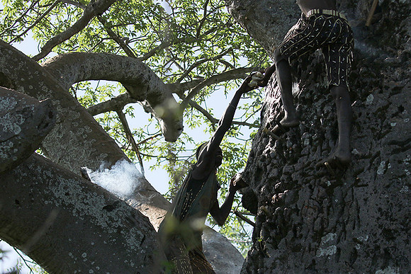 Hadzabe tribe