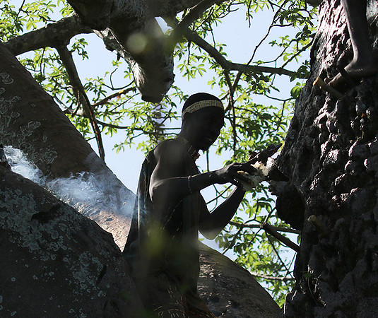 Hadzabe tribe